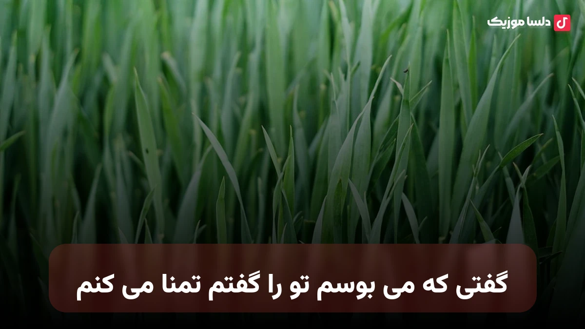 گفتی كه می بوسم تو را گفتم تمنا می كنم صدای زن